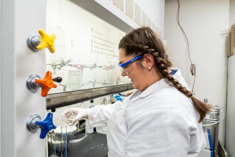 mcdermott lab web